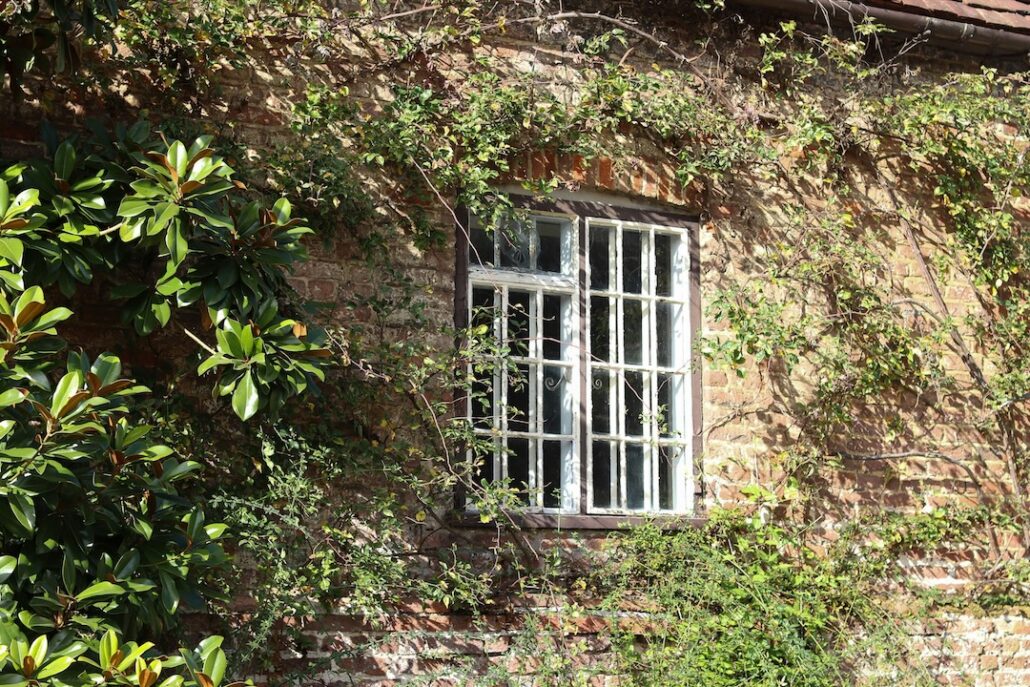 tanya-barrow-30p60IpTQg8-unsplash - AG Home Alarms Canada | Home Security Systems Windows can be an underestimated home security issue.