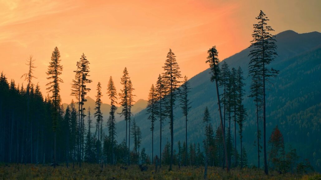 adam-roguljic-j95vZ40Q_2g-unsplash | Home Alarms Canada Fire in the distance which could lead to wildfire evacuation